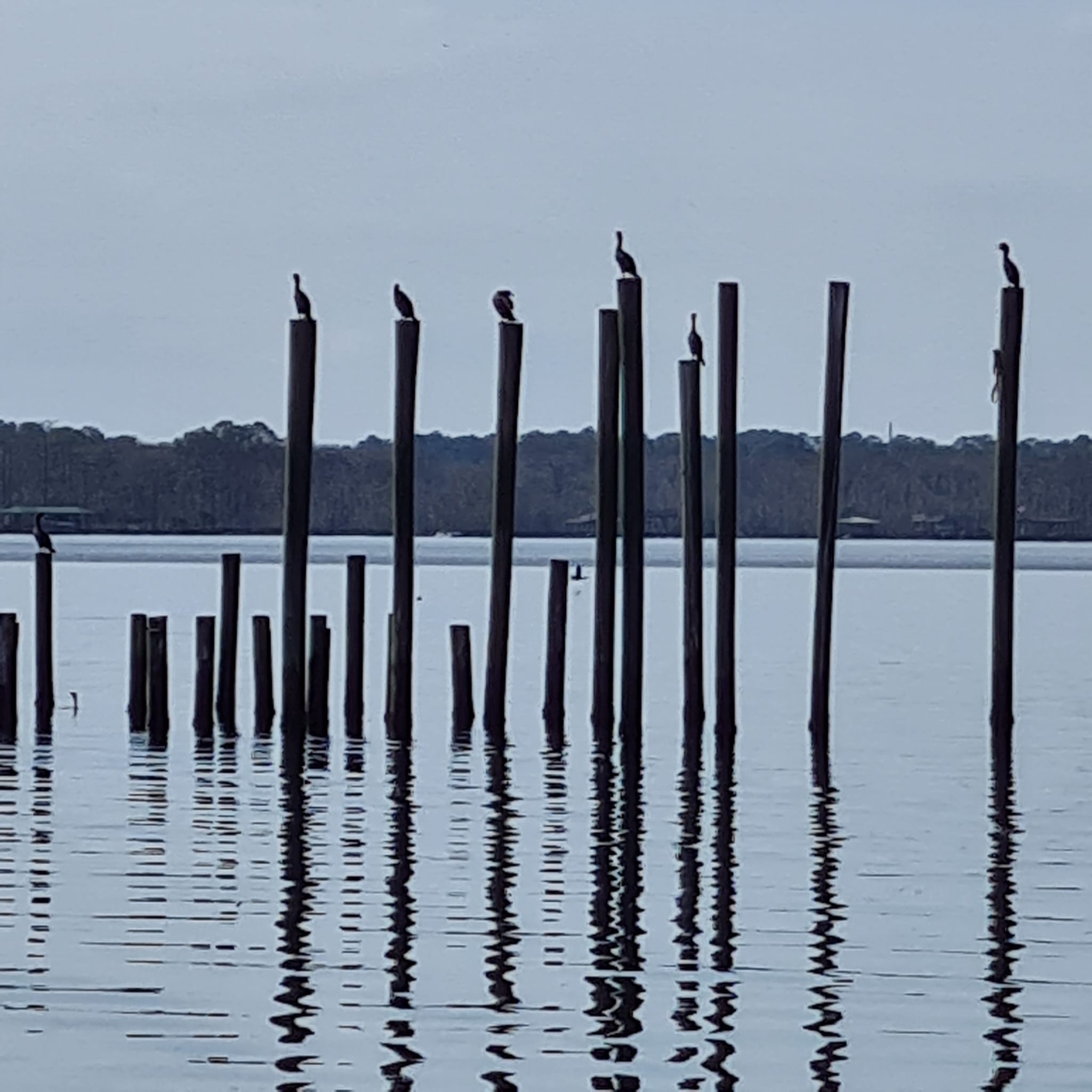 Doctors Lake maisemakuva